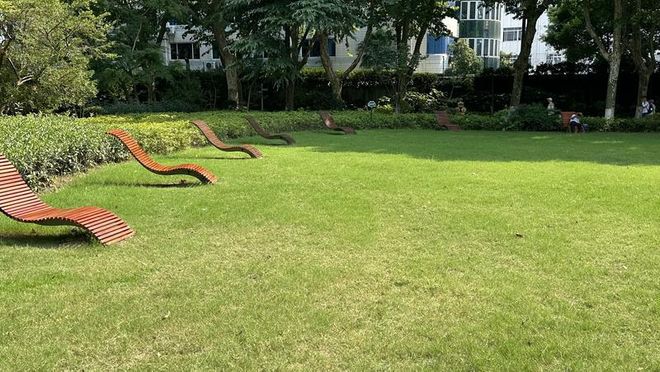 一周上海升级版游园带来哪些“乐与痛”？冰球突破事关搭帐篷、带宠物……新规施行(图6)